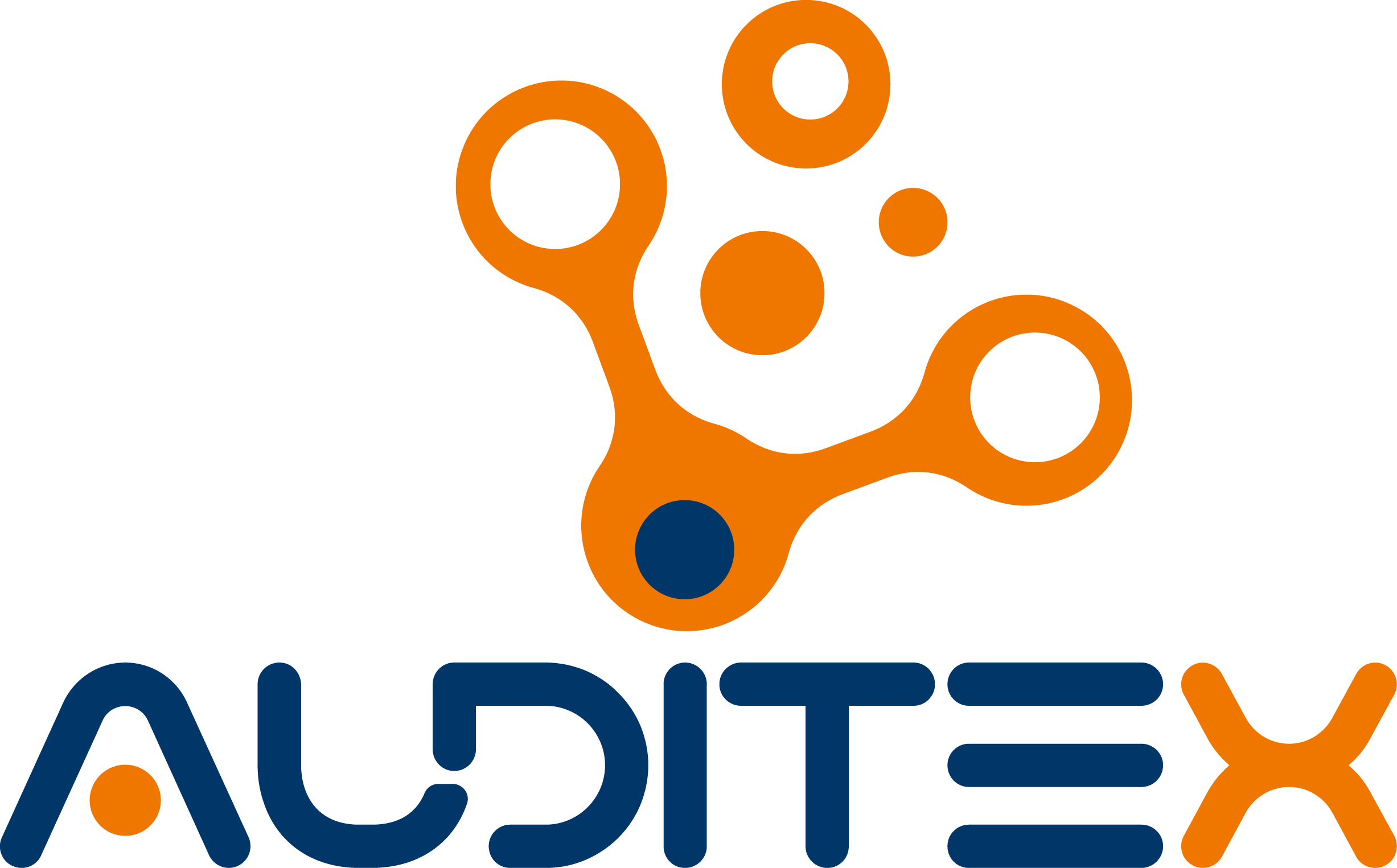 Auditex